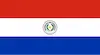 Ligas de paraguay